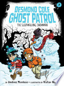 The Sleepwalking Snowman cover