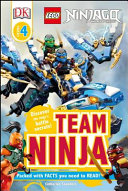 Team Ninja cover