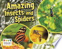 Amazing Insects and Spiders cover