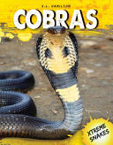 Cobras cover