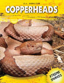Copperheads cover