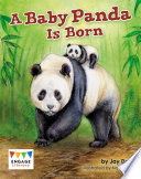 A Baby Panda Is Born cover