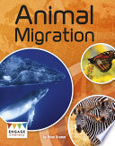 Animal Migration cover