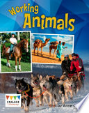 Working Animals cover