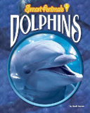 Dolphins cover