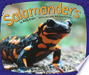 Salamanders cover