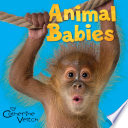 Animal Babies cover