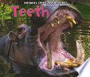 Teeth cover