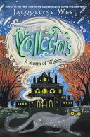 A Storm of Wishes cover