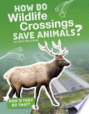 How Do Wildlife Crossings Save Animals? cover