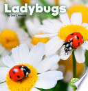 Ladybugs cover