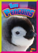 Baby Penguins cover