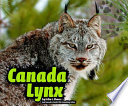 Canada Lynx cover