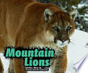 Mountain Lions cover