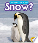 What Can Live in the Snow? cover