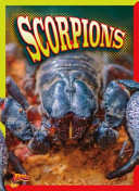 Scorpions cover