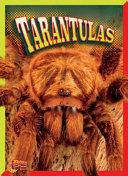 Tarantulas cover