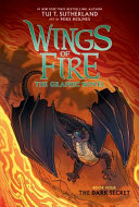 The Dark Secret (Graphic Novel) cover