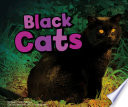 Black Cats cover