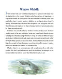 Prairie Dogs Kiss and Lobsters Wave cover