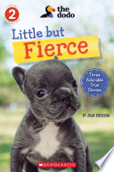 Little but Fierce cover