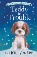 Teddy in Trouble cover