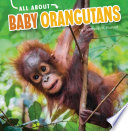 Baby Orangutans cover