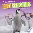 Baby Penguins cover
