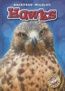 Hawks cover