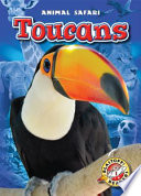 Toucans cover