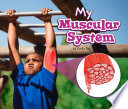 My Muscular System: A 4D Book cover