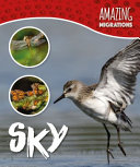 Sky cover