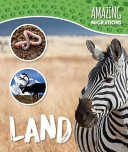 Land cover