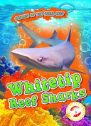 Whitetip Reef Sharks cover