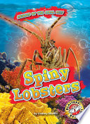 Spiny Lobsters cover