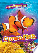 Clownfish cover
