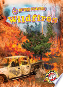 Wildfires cover