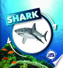 Life Cycle of a Shark cover