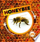Life Cycle of a Honey Bee cover