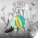 It Fell from the Sky cover
