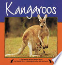 Kangaroos cover
