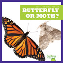 Butterfly or Moth? cover