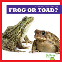 Frog or Toad? cover