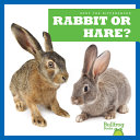 Rabbit or Hare? cover