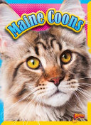 Maine Coons cover