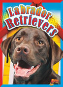 Labrador Retrievers cover