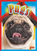Pugs cover