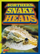 Northern Snakeheads cover