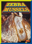 Zebra Mussels cover