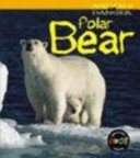 Polar Bear cover